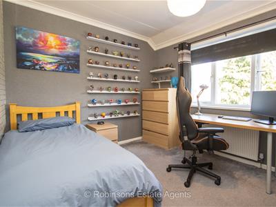 Picture 13